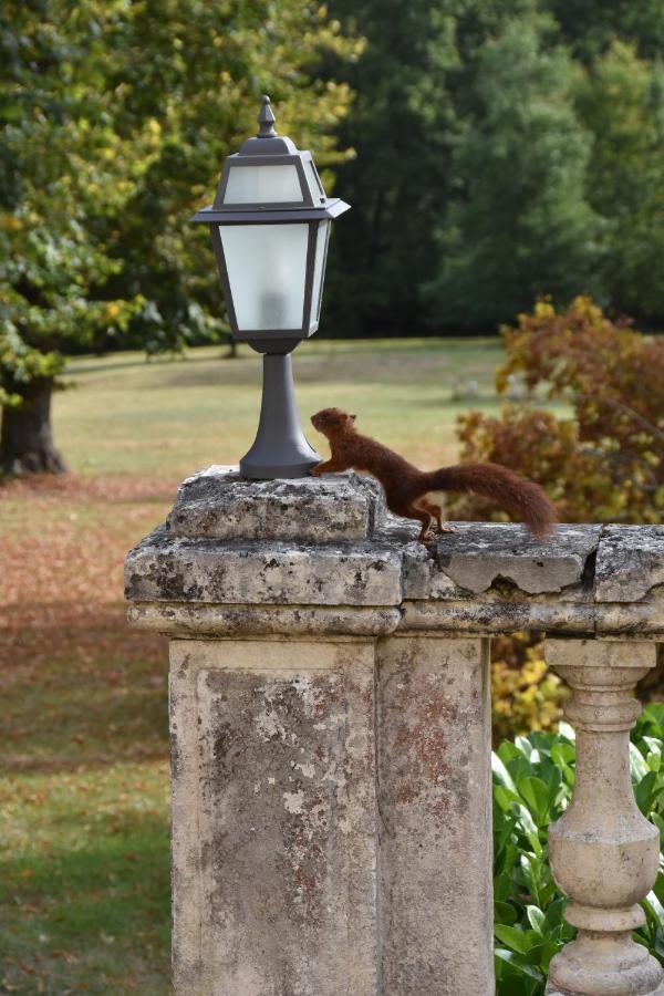 Chateau De Laroche Bed and Breakfast Vianne Esterno foto